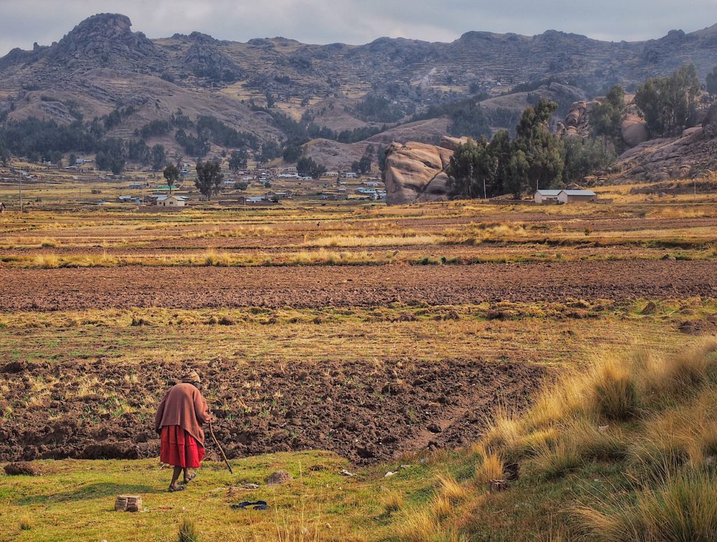 Daily life in Puno