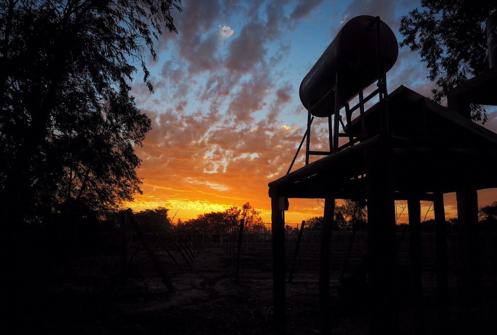 Even a water tower looks good in this sunset